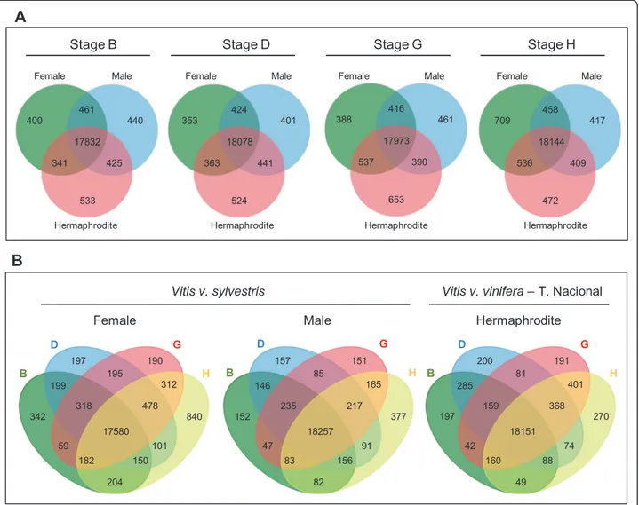 Figure 5 Representation of the number of genes with expression (RPKM ≥ 1) in the three flower sex types