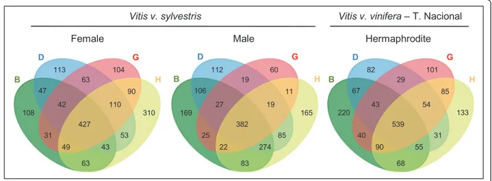 Figure 6 Venn diagrams summarizing the number of genes with RPKM ≤ 0. These genes are considered as not being expressed due to the fact that their reads only map to regions annotated as introns