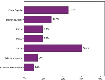 Figura 6.5 - Grau de escolaridade dos inquiridos segundo o escalão etário (%) 