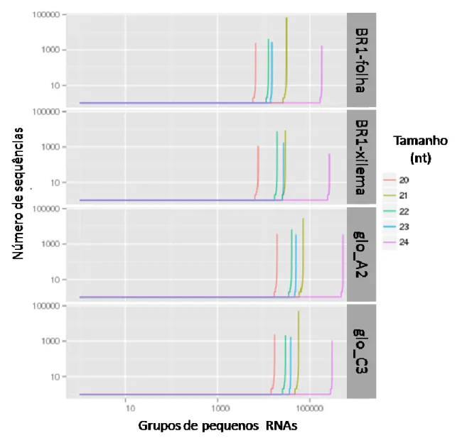 Figura  3:  Gráfico  do  perfil  de  agrupamento  (cluster  profile)  de  sequências  com  classificação  dos  grupos pelo número de sequências