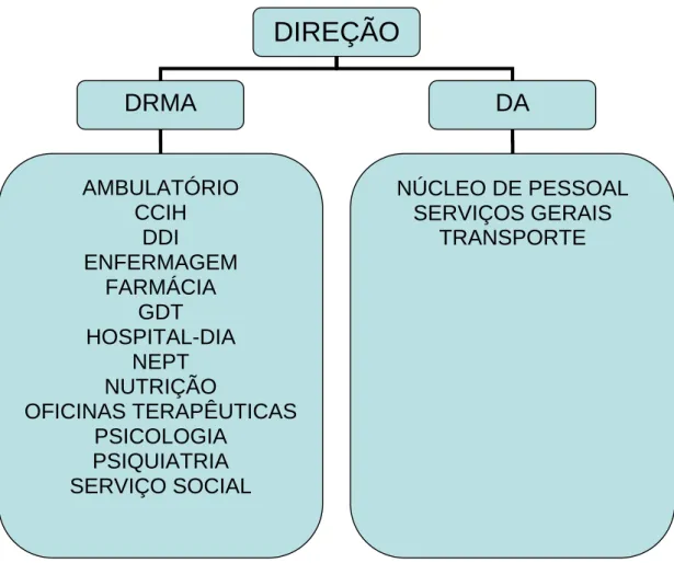Figura 6.1  Esquema do Instituto de Saúde Mental do ano de 1998                    