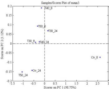 Figure 4. Principal component analysis score plot of pineapple core FT-IR spectra of the control (Ctr)  and heat-treated (T) core pineapple wounded samples, stored at 5 ± 1 °C for 8 h (_8) and 24 h (_24)