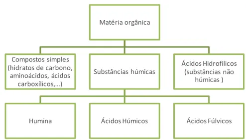 Figura 2:   Esquema de constituição da matéria orgânica e substâncias húmica s   (Adaptado de Berthe et al., 2007)  