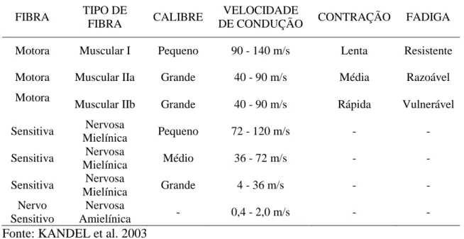 Tabela 2: Dados comparativos da velocidade de condução entre as fibras 