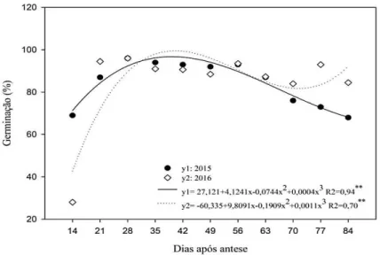 Figura 7. Índice de velocidade de germinação sementes de quinoa colhidas em diferentes dias  após a antese, nos anos de 2015 e 2016