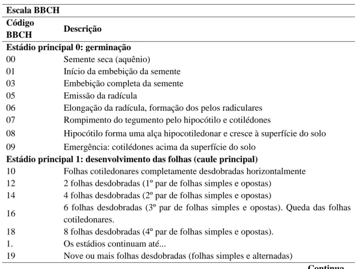 Tabela  2.  Descrição  dos  estádios  fenológicos  de  quinoa  (Chenopodium  quinoa  Willd.)  segundo a escala BBCH.UNB, Brasília-DF
