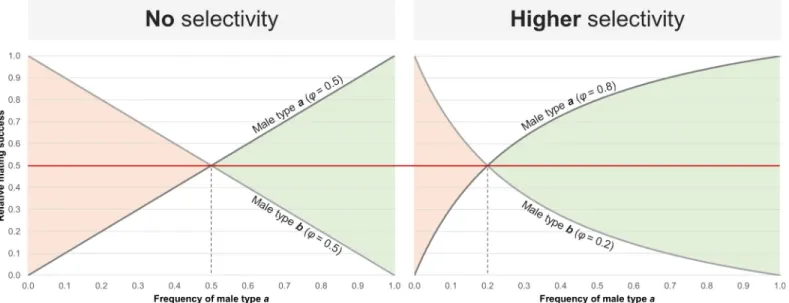 Fig 2. Relative mating success of two theoretical male types as a function of their frequency and female preference ( φ )