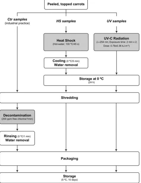 Fig. 1. Flow diagram of minimal processing for shredded carrots according to each abiotic stress treatment (heat shock and UV-C irradiation) and the industrial practice (control).