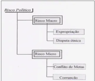 Figura 1 – Subdivisão dos denominados riscos políticos 