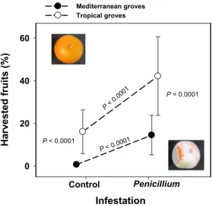 Fig. 1). Frugivores from both regions strongly preferred Penicillium-infested as compared with intact fruits (F 1, 