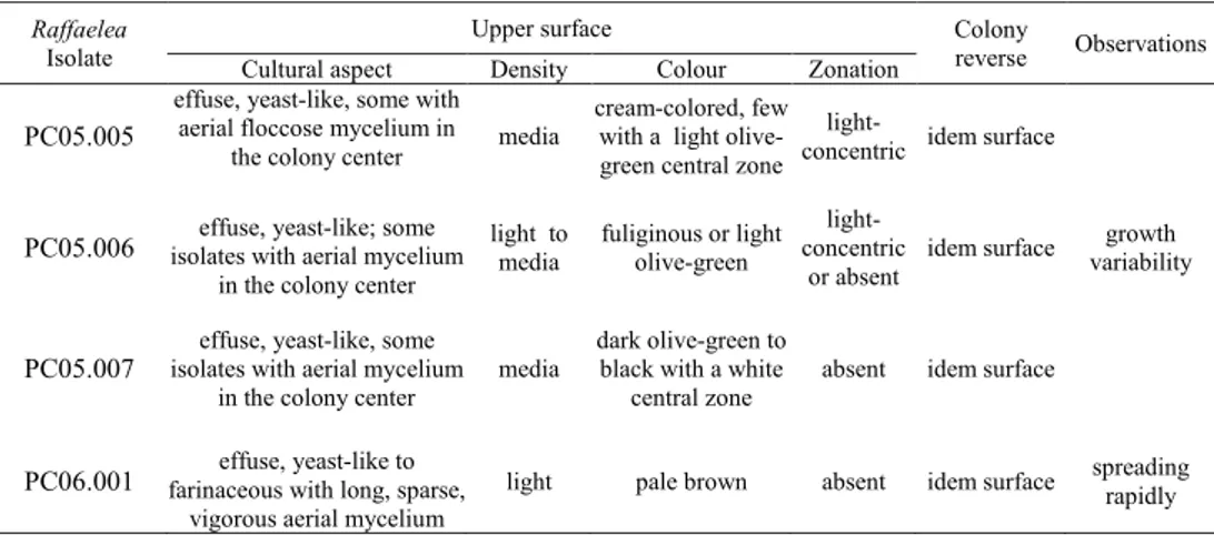Table 1 – Macroscopic description of the Raffaelea cultures on PDA