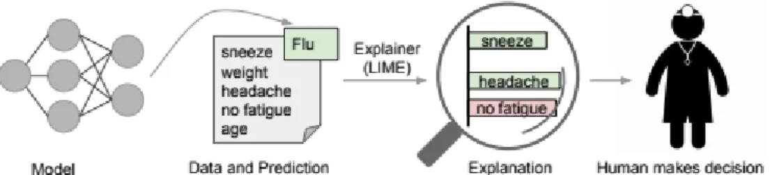 Figure 3.6: Explanation of Individual Predictions (taken from [30])