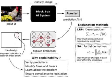 Figure 3.8: Explaining predictions of an AI System (taken from [13])