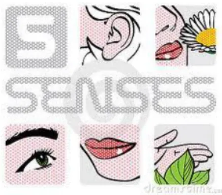 Figura I – Representação dos 5 sentidos Humanos 