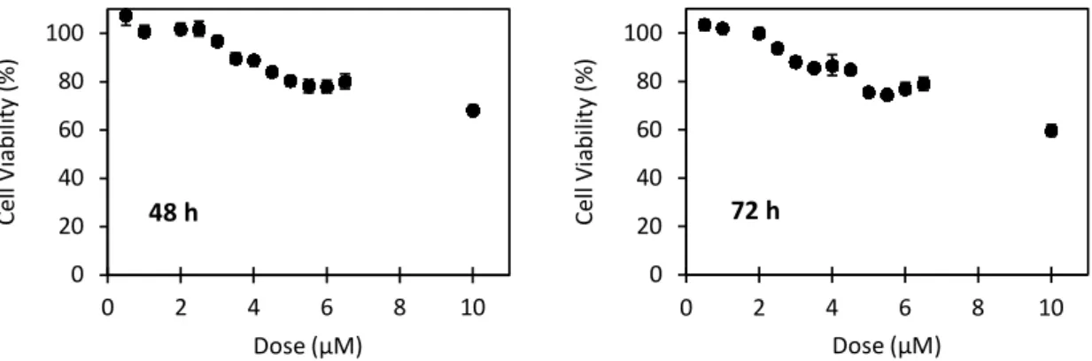 Fig.  5.Effect  of  cetuximab  on  HCT116  cell  viability.Cells  were  exposed  to  increasing  concentrations  of  cetuximabfor 48 (left) and 72 h (right)