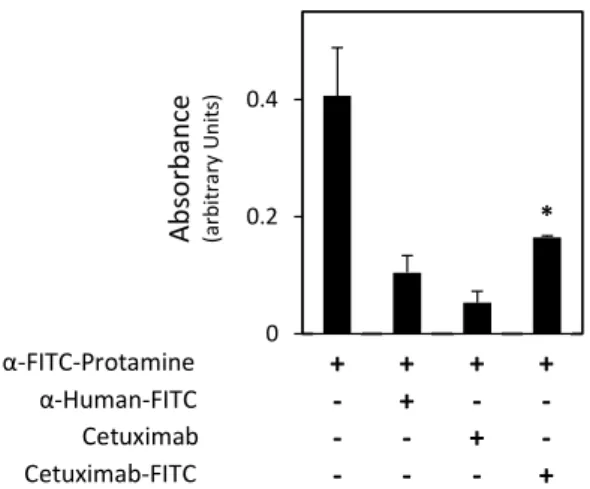 Fig. 9.Evaluation of α-FITC-protamine scFV binding to cetuximab-FITC.α-FITC-protamine scFV binding to  cetuximab-FITC was evaluated by ELISA for HA, using α-HA-HRP and ABTS with 0.2% H 2 O 2  as substrate