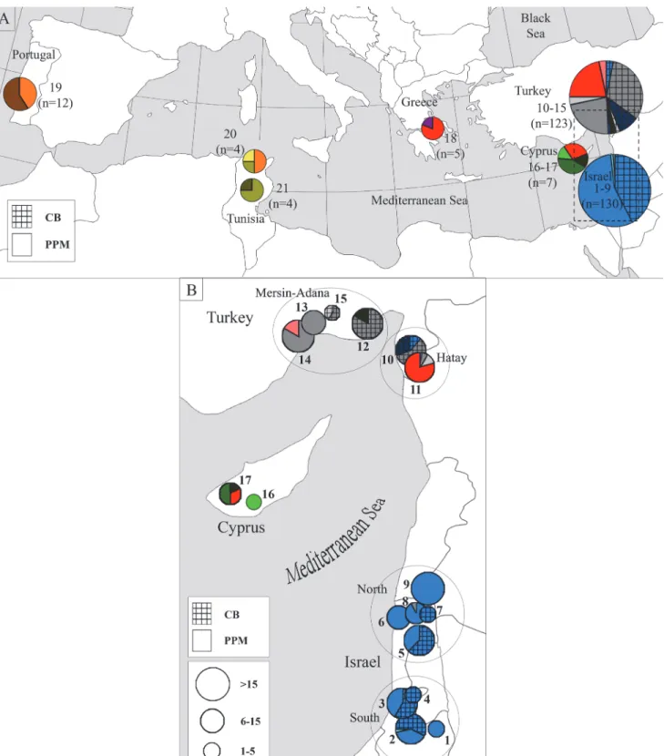Fig 3. Geographical distribution of Ooencyrtus pityocampae COI haplotypes. 3A. Geographical mapping of Mediterranean OP haplotypes
