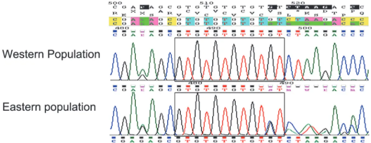 Fig 4. DNA chromatograms of a segment from the ribosomal ITS2 gene of Ooencyrtus pityocampae