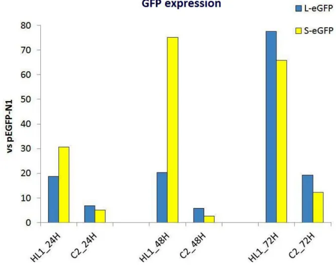 Figure  4.  Cardiac  mouse  TNNT2  promoters  specifically  drive  GFP  expression  in  HL-1  cells