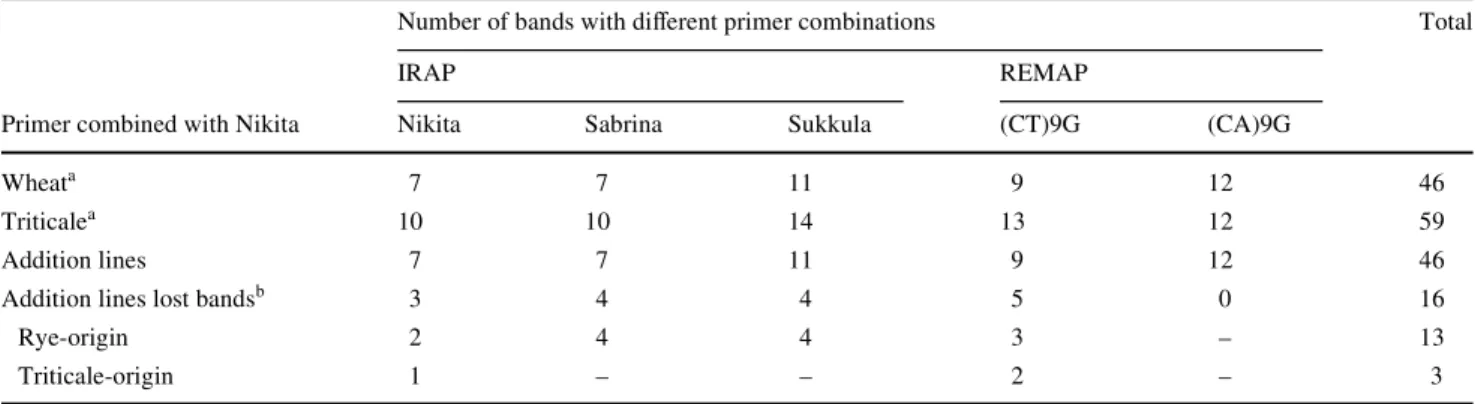 Fig. 6 IRAP banding proWles obtained with primer Nikita of wheat (W), rye (R), triticale (T), four diVerent individual plants from  triticale-wheat backcross (BC1–BC4) and two triticale-wheat–rye addition lines (CS + 2R and CS + 5R)