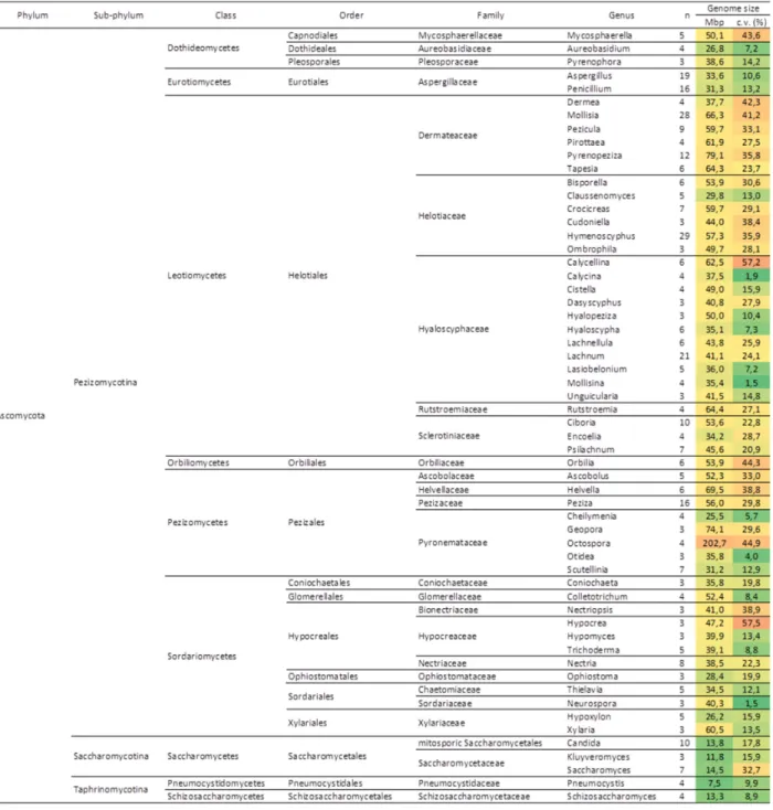 Table 2 - Average genome sizes (Mbp) for every fungal genus for which values from at least three different species were avail- avail-able, including the results obtained in this study; fungal orders are arranged phylogenetically (http://tolweb.org/