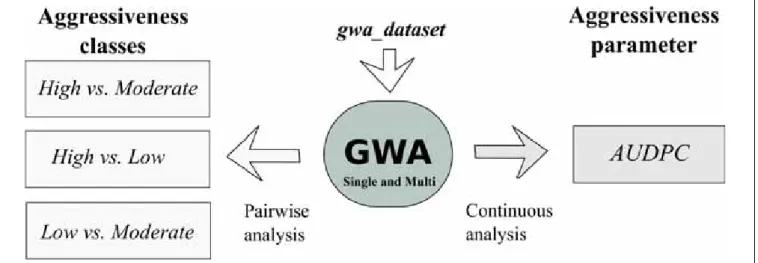 FIGURE 2 | Schematic representation of the dataset and GWA analyses conducted in this study