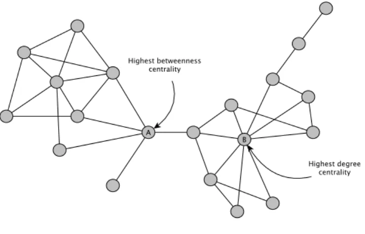 Figure 1.1 Illustration of the differences of centrality measures.  There are pointed in  the network the most central nodes according to degree (B) or betweenness measure (A)  respectively