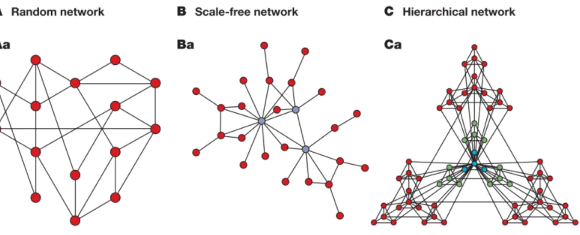 Figure  1.2  Network  models  that  have  a  direct  impact  on  understanding  biological  networks