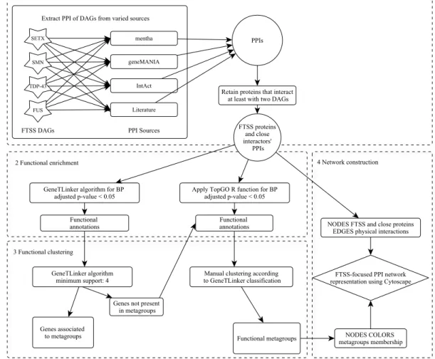 Figure  2.1  Flowchart  describing  FTSS-focused  network  construction  methodology.  FTTS-focused  network is constructed using PPI related to FTSS proteins