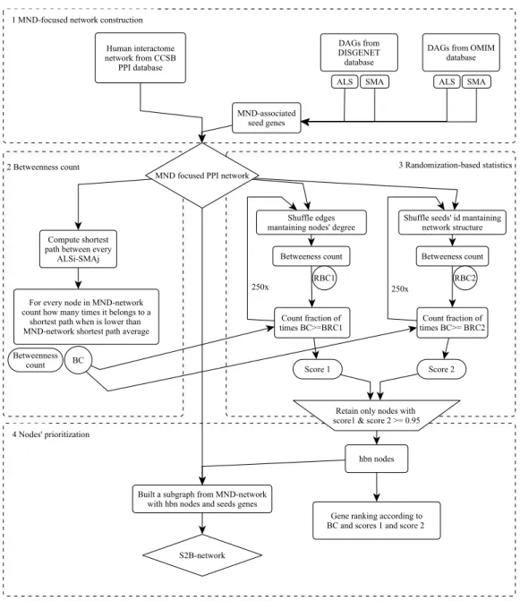 Figure  3.1  Flowchart  describing  the  workflow  of  S2B  method. MND-focused network is constructed  using CCSB derived PPI data and MND-DAGs retrieved from DisGeNET and OMIM (step 1)