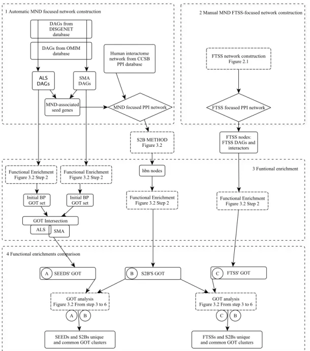 Figure 3.4  Comparison of S2B results with FTSS-focused  network  and  MND-DAGs. Firstly, S2B and  FTSS  networks  were  constructed  (Steps  1  and  2)