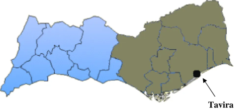 Figura 5 – Mapa da região algarvia, com indicação do local onde decorreram os estudos 
