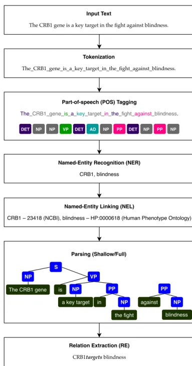 Figure 2.1: Workflow of a simplified RE system. DET is a determinant, NP is a noun, VP is a verb, AD is an adjective, and PP is a preposition