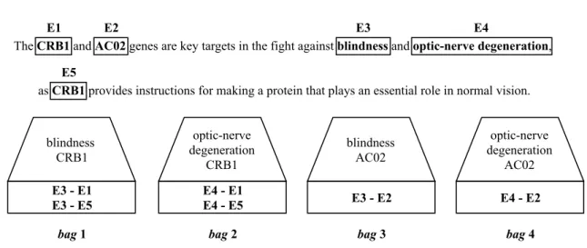 Figure 4.2: Multi-instance learning bags. Each bag represents one instance, a representation of a candidate human phenotype-gene relation, for the corpus