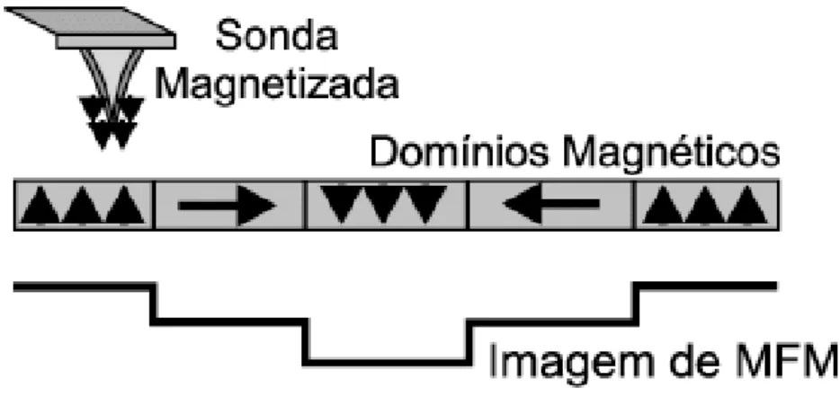 Figura  3.1.   Desenho  esquemático  do  princípio de  funcionamento  da  Microscopia de  Força  Magnética