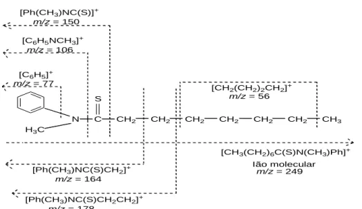 Figura 3.1.2.1-B: Esquema geral das atribuições de composição de alguns iões fragmento da MPHTA