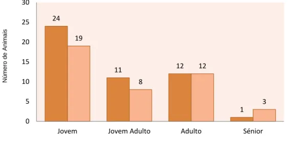 Gráfico 11- Caracterização da população de animais adotados no CORACO de acordo com o género  e faixa etária  Número de Animais 24  11  12  1 19 8 12  3  0 5 10 15 20 25 30 