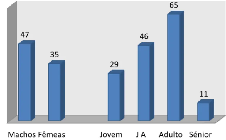 Gráfico 13- Distribuição da média dos dias de permanência dos animais adotados de acordo com o  género e faixa etária 