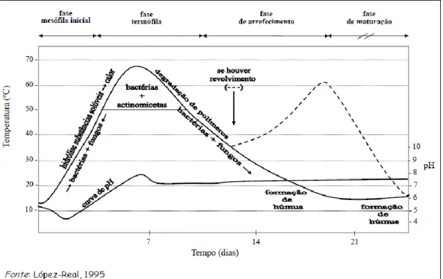 Figura 2.1 - Fases da compostagem. Fonte Queda (2011) cit in López-Real, (1995). 