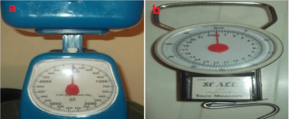 Figura 4.3 -  Balanças usadas na pesagem dos resíduos (a - balança de menor capacidade,  usada na pesagem dos resíduos separados, b - balança usada na pesagem do saco na sua  totalidade 