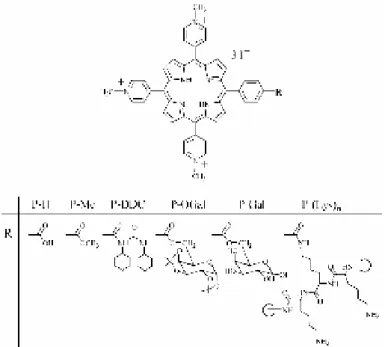 Figure  1.1  Noms  et  structures  chimiques  des  dérives  étudiés  dérivants  de  la  5-(4-carboxyphenyl)- 5-(4-carboxyphenyl)-10,15,20-tris(N-methylpyridinium-4-yl)porphyrine 