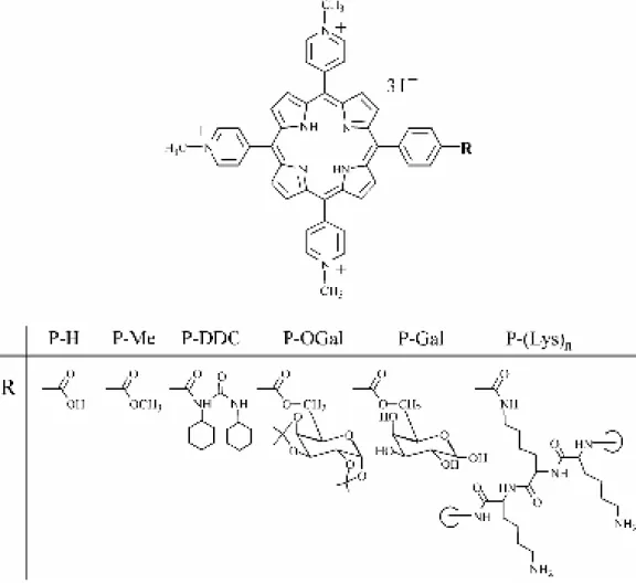 Figure 1.1 Names and chemical structures of 5-(4-carboxyphenyl)-10,15,20-tris(N-methylpyridinium-4- 5-(4-carboxyphenyl)-10,15,20-tris(N-methylpyridinium-4-yl)porphyrin  derivatives  under  study