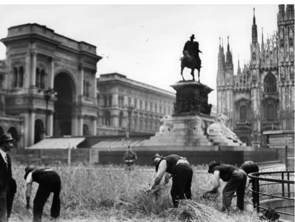 Figura 7. A colheita de trigo na Piazza del Duomo, Milão, 1943. 