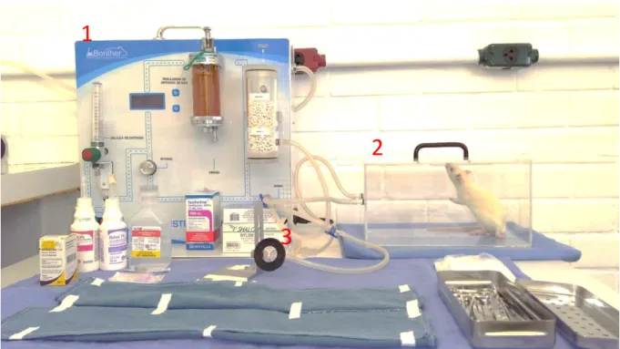 Figura 7 - Mesa cirúrgica. Para realizar o protocolo de anestesia foi utilizado o Sistema de Anestesia  composto  por  administrador  do  anestésico  (1),  caixa  de  indução  de  anestesia  (2)  e  cone  nasal  (3)