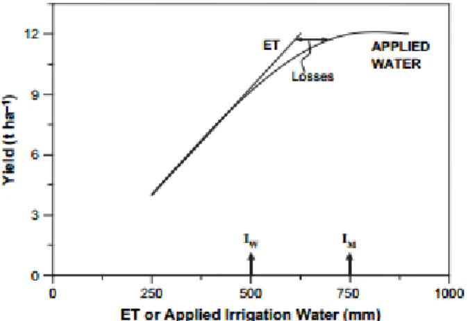Figura 2.1: Relações generalizadas entre água de rega aplicada, ou ET e rendimento  de  grãos  da  cultura