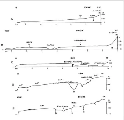 Fig. X.3 |  Diversidade dos perfis transversais  da plataforma litoral no Sudoeste de Portugal (Seg