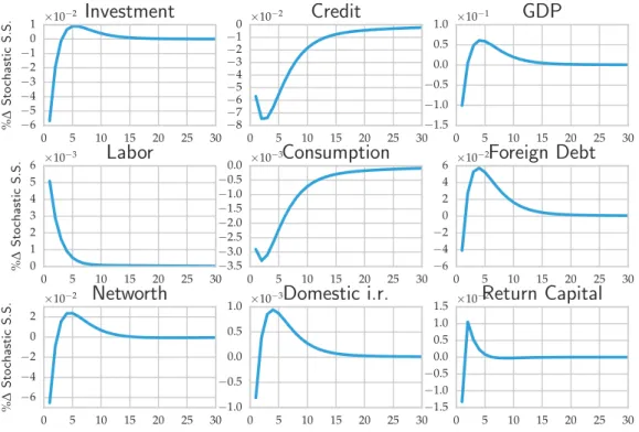 Figure 3: Colateral constraint shock and Model dynamics