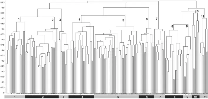Figure 1. Dendrogram of the UPGMA with Bray-Curtis coefficient of the communities of Populenion albae in Iberian Peninsula