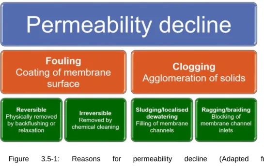 Figure  3.5-1:  Reasons  for  permeability  decline  (Adapted  from  http://www.thembrsite.com/features/when-sludge-goes-bad-may-2010/) 