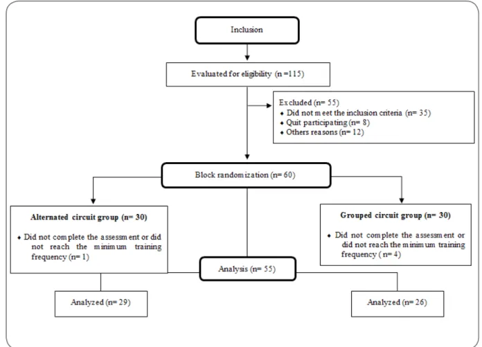 Figure 1 - Experimental design of the inclusion and analysis of the sample. 